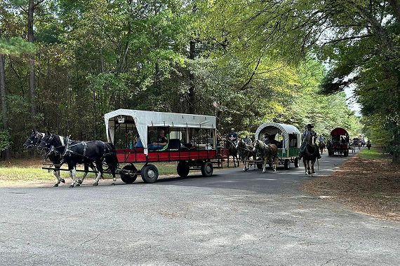 Experience Winnsboro
